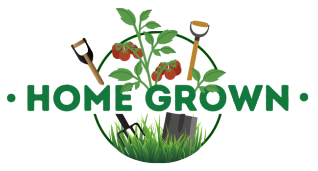 Featured image for Home Grown